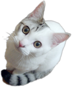 はる.png